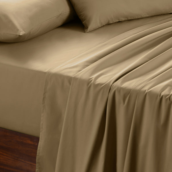 Slumber Plain Easy Care Percale 100% Cotton Yellow/Latte Crisp Bed Sheet with Pillow Case