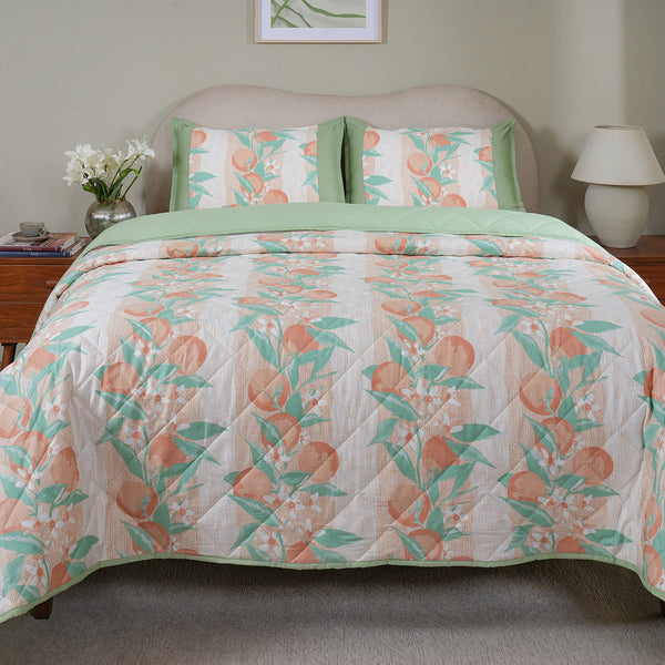 Sensory Bloom Colorsplash extremely Cozy Peach Quilt