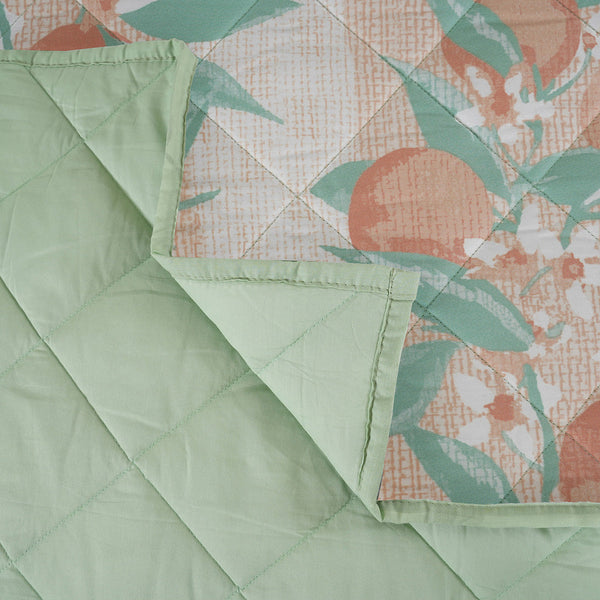 Sensory Bloom Colorsplash extremely Cozy Peach Quilt