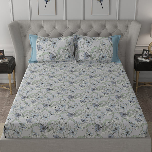Backyard Patio Valencia Printed 100%Cotton Aqua Bed Sheet with Pillow Case