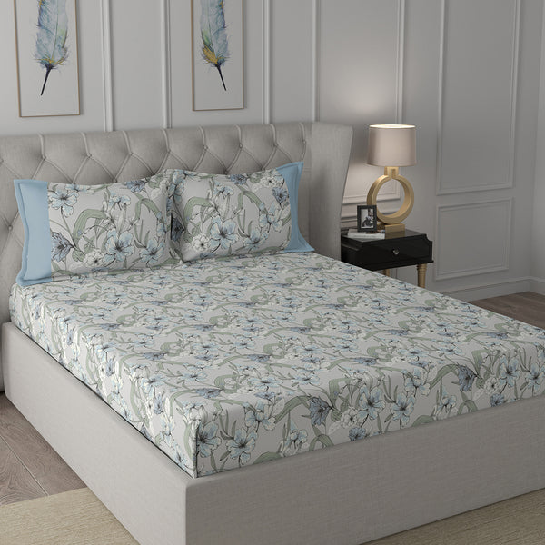 Backyard Patio Valencia Printed 100%Cotton Aqua Bed Sheet with Pillow Case